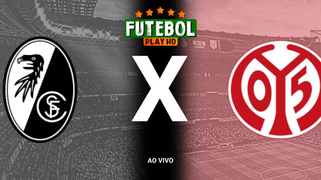 Assistir Freiburg x Mainz 05  ao vivo HD 03/11/2024