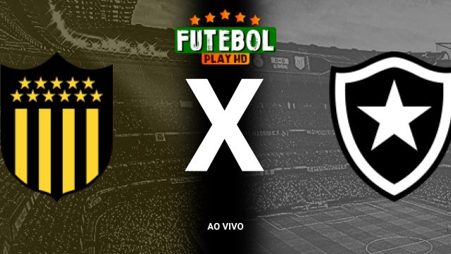 Assistir Peñarol x Botafogo ao vivo online 30/10/2024 grátis