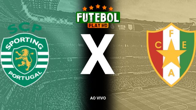 Assistir Sporting x Estrela da Amadora ao vivo HD 01/11/2024